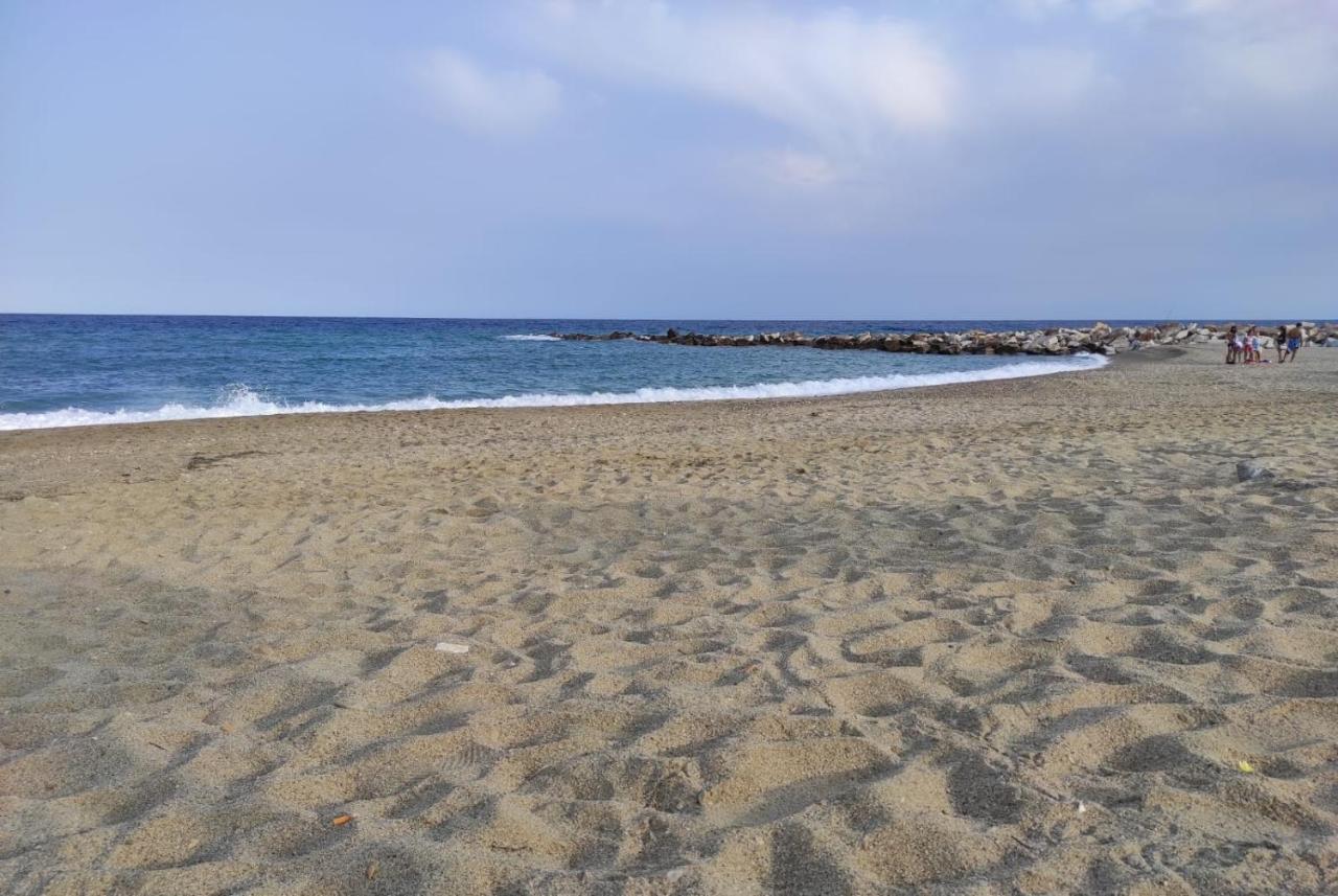 Beach Apartamentos غاروشا المظهر الخارجي الصورة