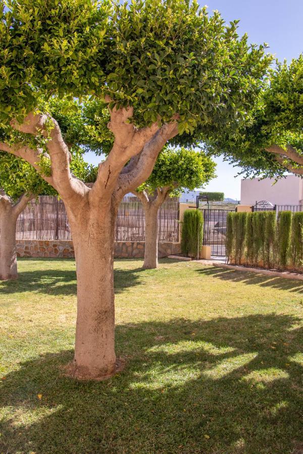 Beach Apartamentos غاروشا المظهر الخارجي الصورة